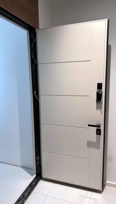 С фальш-вставкой и скрытыми петлями С фальш-вставкой и скрытыми петлями